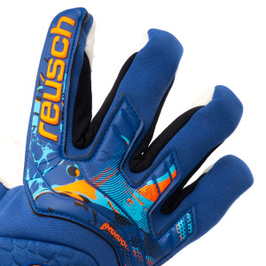 DORSO-1