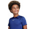 Camisola Nike Dri-Fit Academy Criança