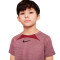 Camisola Nike Dri-Fit Academy Criança