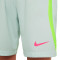 Calções Nike Dri-Fit Strike Criança