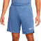 Nike Dri-Fit Academy Shorts