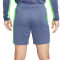 Pantalón corto Dri-Fit Academy 23 Diffused Blue-Green Strike-White