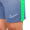 Pantalón corto Nike Dri-Fit Academy 23