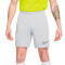 Nike Dri-Fit Academy 23 Shorts