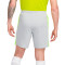 Nike Dri-Fit Academy 23 Shorts