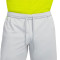 Nike Dri-Fit Academy 23 Shorts