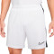 Nike Dri-Fit Academy 23 Shorts