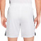 Nike Dri-Fit Academy 23 Shorts