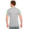 Camiseta Dri-Fit Academy 23 Silver-Volt-Black
