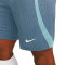 Pantalón corto Nike Dri-Fit Strike