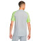 Nike Dri-Fit Strike Jersey