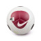 Nike Futsal Maestro Bal