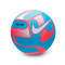 Pallone Nike Pitch