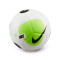 Nike Futsal Maestro Ball