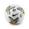 Ballon Nike Premier League  Academy