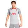 Liverpool FC Training 2022-2023 Wolf Grey-Smoke Grey
