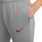 Długie spodnie Nike Kobiety Liverpool FC Training 2022-2023