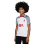 Liverpool FC Training 2022-2023 Niño White-Smoke Grey