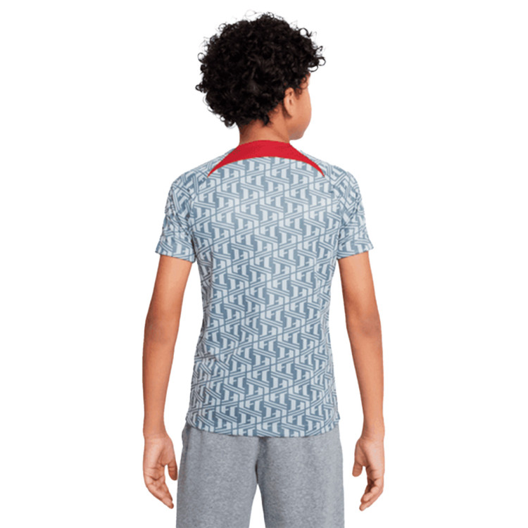 camiseta-nike-liverpool-fc-pre-match-2022-2023-nino-wolf-grey-tough-red-1.jpg