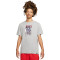 Camiseta Paris Saint-Germain FC Fanswear 2022-2023 Dk Grey Heather