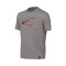 Camiseta Paris Saint-Germain FC Fanswear 2022-2023 Niño Dk Grey Heather