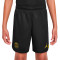Nike Kids Paris Saint-Germain FC Fourth Kit Shorts Stadium 2022-2023 Shorts