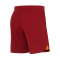 Nike Kids Galatasaray SK Home Kit Shorts 2023-2024 Shorts