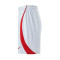 Nike Galatasaray SK Away Kit Shorts 2023-2024 Shorts