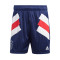 Pantalón corto Ajax de Ámsterdam Fanswear Icon Night Sky