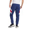 Pantalon adidas Ajax de Ámsterdam Fanswear Icon
