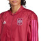 Veste adidas Blouson Espagne Coupe du Monde Féminine Entraînement 2023 Femme