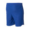 Pantalón corto FC Barcelona Primera Equipación Authentic 2023-2024 Deep Royal Blue-White