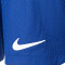 Pantaloncini Nike FC Barcelona Prima Divisa Authentic 2023-2024