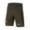 Nike FC Barcelona Training 2023-2024 Niño Shorts