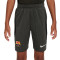 Nike FC Barcelona Training 2023-2024 Niño Shorts