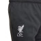 Nike Liverpool FC Fanswear 2023-2024 Niño Lange Hosen