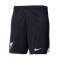 Nike Liverpool FC Auswärtstrikot Shorts Stadion 2023-2024 Shorts