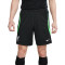 Pantaloncini Nike Liverpool FC Training 2023-2024