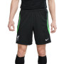 Liverpool FC Training 2023-2024-Black-Poison Green-White