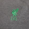 Nike Liverpool FC Fanswear 2023-2024 Pullover