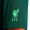 Maglia Nike Liverpool FC Fanswear 2023-2024