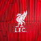 Nike Liverpool FC Pre-Match 2023-2024 Jersey