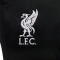 Duge hlače Nike Liverpool FC Training 2023-2024