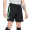 Nike Liverpool FC Training 2023-2024 Shorts