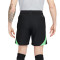 Nike Liverpool FC Training 2023-2024 Shorts