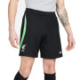 Liverpool FC Training 2023-2024-Noir-Poison Vert-Blanc