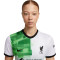 Nike Women Liverpool FC Away Jersey 2023-2024 T-Shirt
