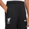 Nike Liverpool FC Training 2023-2024 Niño Lange Hosen