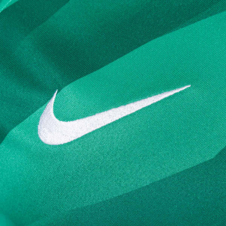 camiseta-nike-paris-saint-germain-fc-primera-equipacion-stadium-2023-2024-verde-2