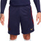 Pantalón corto Paris Saint-Germain Training 2023-2024 Blackened Blue-Red-Gold Suede